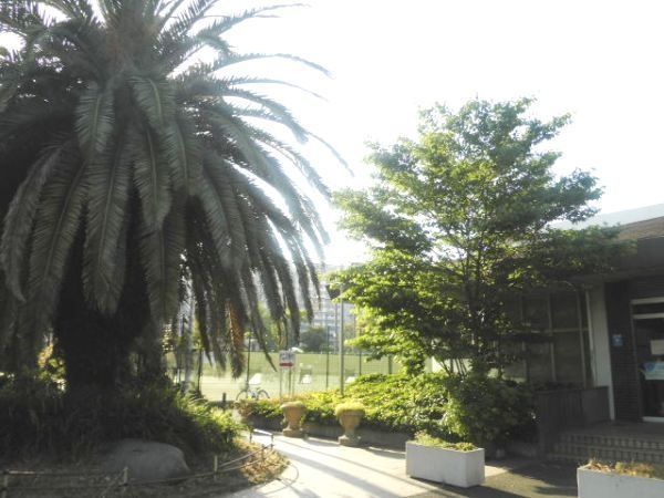 公園　富士見公園（公園）まで497m