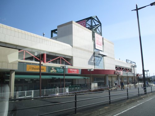スーパー　オリンピック 藤沢店（スーパー）まで705m
