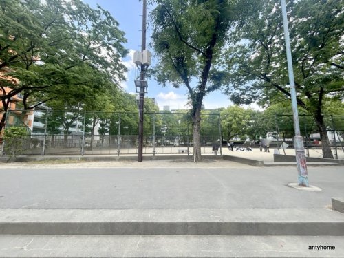 公園　北中島公園（公園）まで246m