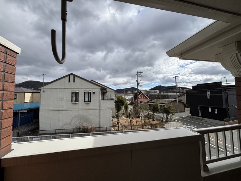 セントポーリアIIのその他写真