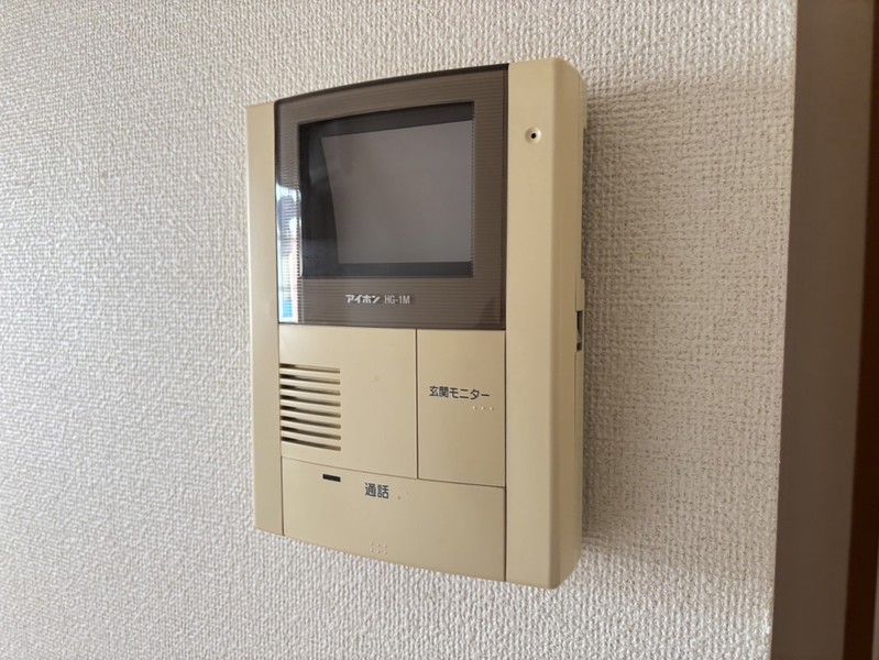 セントポーリアIIのその他写真