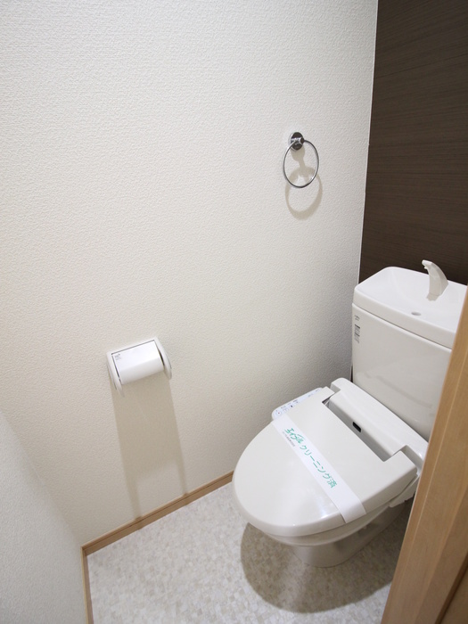 Les Ailes Vのトイレ写真