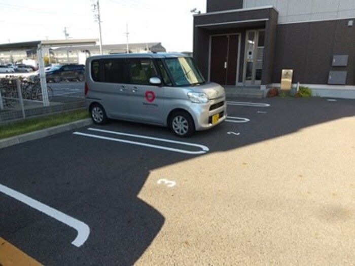 seagullのその他写真