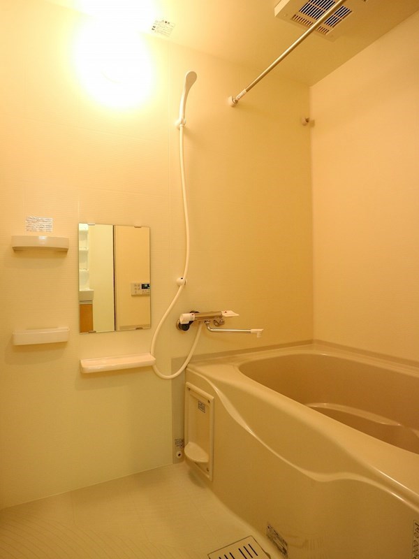 ブラウン・シャトレーヌの風呂写真
