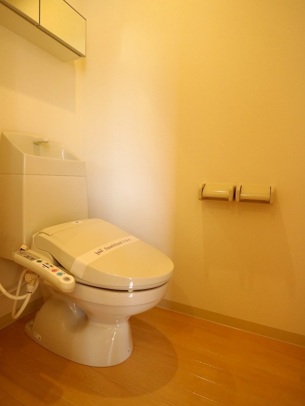 ブラウン・シャトレーヌのトイレ写真