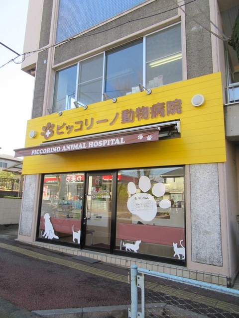 病院　ピッコリーノ動物病院（病院）まで845m