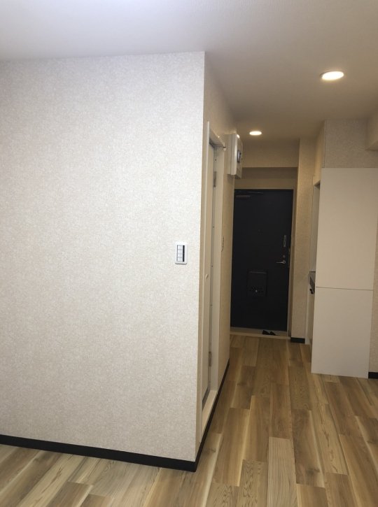 ライオンズマンション九段第二の内装写真