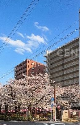 青葉台フラワーマンションのその他写真