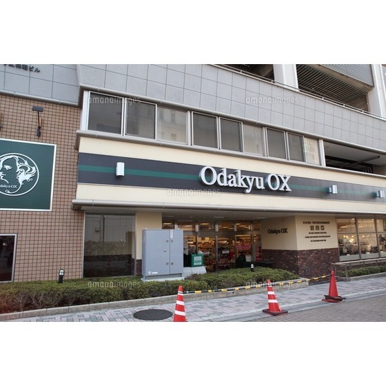 スーパー　ＯｄａｋｙｕＯＸ鶴川店（スーパー）まで865m