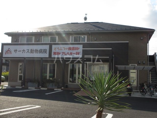 病院　サーカス動物病院（病院）まで300m
