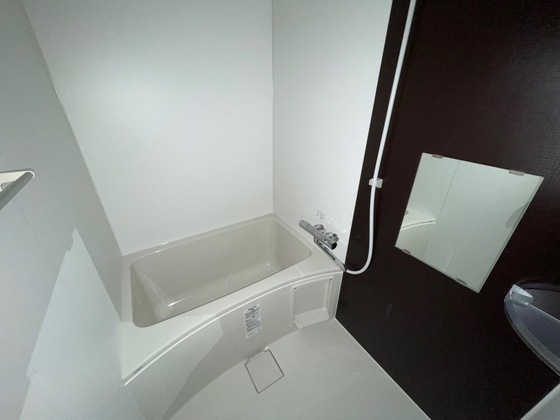 バス・シャワールーム　※別部屋の写真です