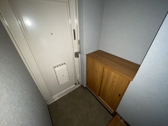 玄関　※別部屋の写真です