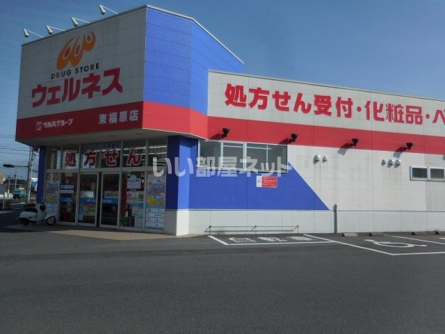 ドラックストア　ドラッグストアウェルネス（ドラッグストア）まで793m