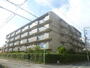 流町ビューハイツ 3階 築44年2ヶ月の賃貸物件
