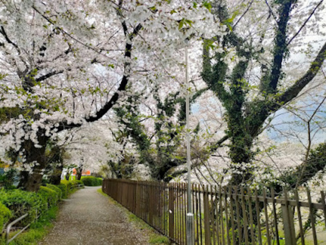 公園　下溝古山公園（公園）まで1013m