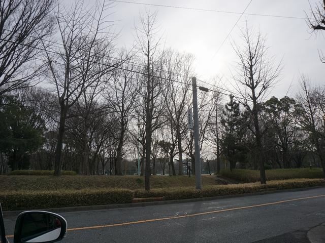 公園　千種公園（公園）まで380m