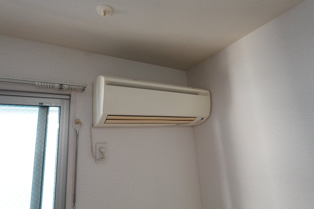 エルフィールのその他写真