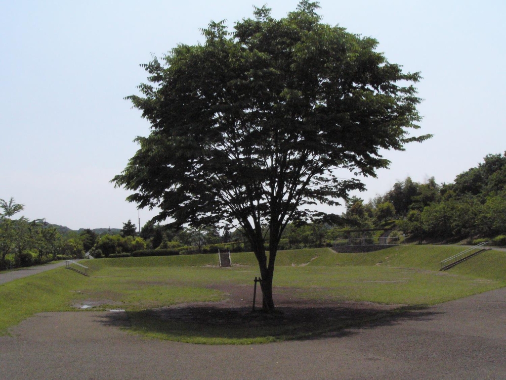 公園　宇津貫公園（公園）まで893m