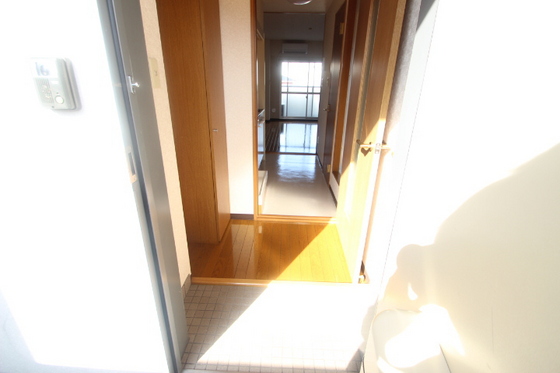 玄関　※別号室のお写真です。