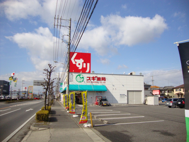 その他　ドラッグストア（その他）まで850m