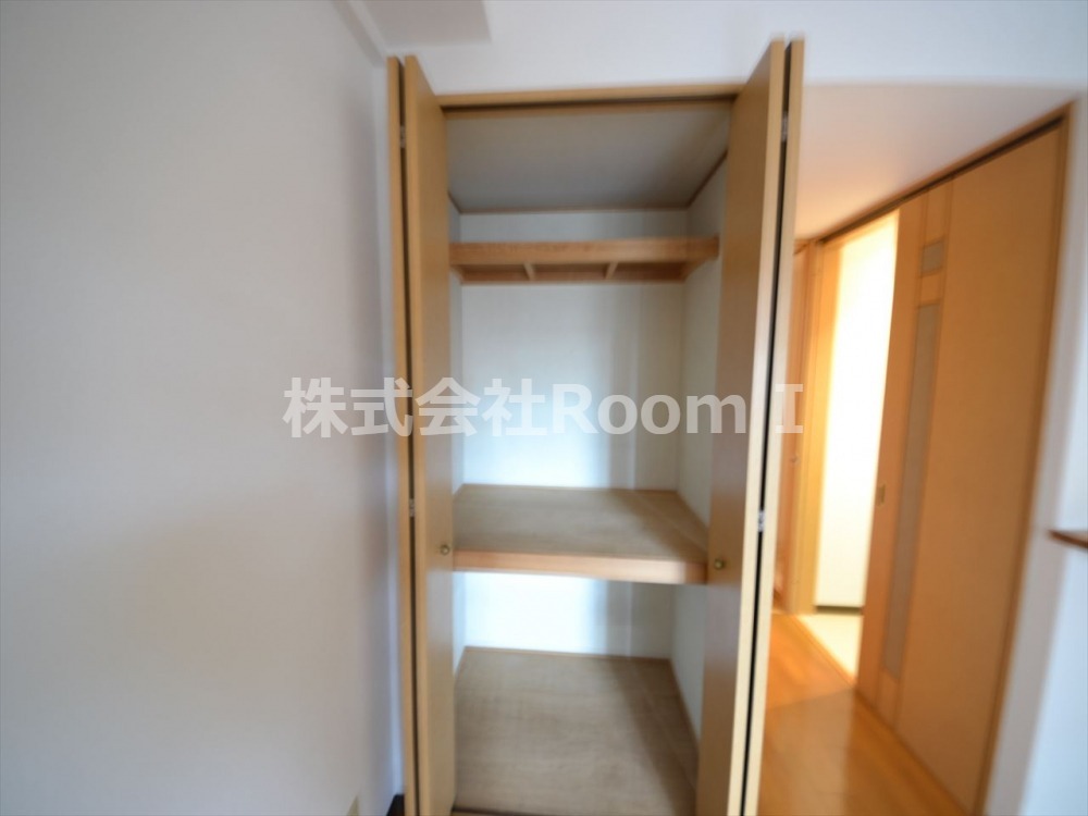 収納　内装もきれいです