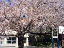 小学校　豊島区立駒込小学校（小学校）まで361m