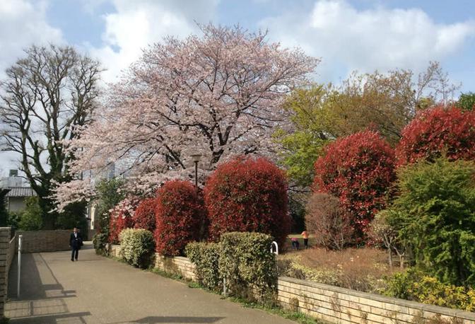 公園　亀塚公園（公園）まで876m