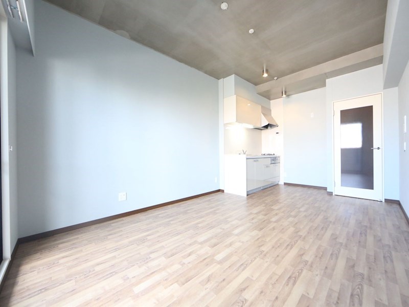 居室・リビング　ＬＤＫ12.3帖　システムキッチン　エアコン完備　バルコニー