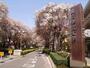 大学・短大　東京学芸大学（大学・短大）まで450m