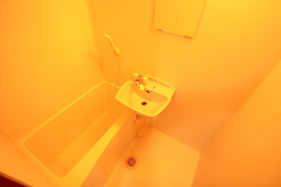 バス・シャワールーム　※別号室の写真です。