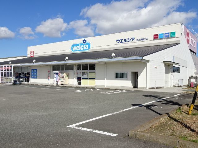 ドラックストア　ウエルシア　細江店（ドラッグストア）まで850m