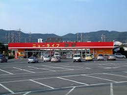 スーパー　ニューライフフジ 二川店（スーパー）まで1189m