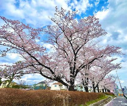 公園　東水元公園（公園）まで200m