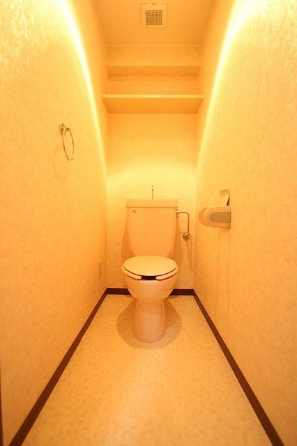 トイレ　同物件、別号室のものです。