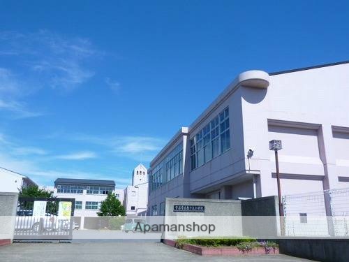 小学校　守谷市立松ケ丘小学校（小学校）まで530m