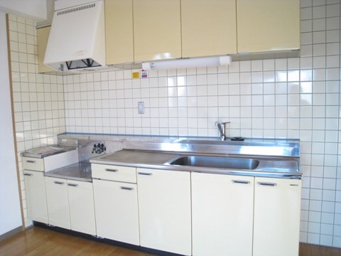 キッチン　同物件、別号室のものです。