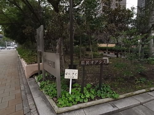 公園　県民オアシス（公園）まで117m