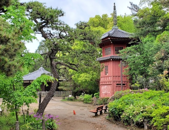 公園　哲学堂公園（公園）まで196m
