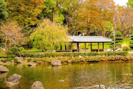 公園　戸越公園（公園）まで311m