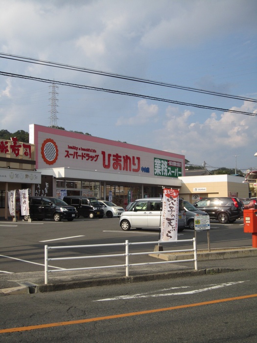 ドラックストア　スーパードラッグひまわり中山店（ドラッグストア）まで1120m