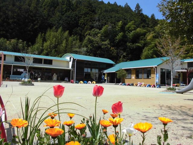 幼稚園・保育園　光明幼稚園（幼稚園・保育園）まで1362m