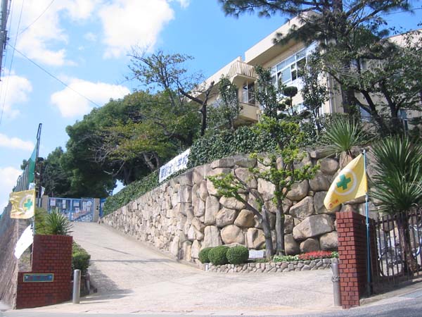 小学校　神戸市立御影北小学校（小学校）まで172m