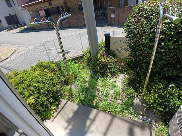 庭