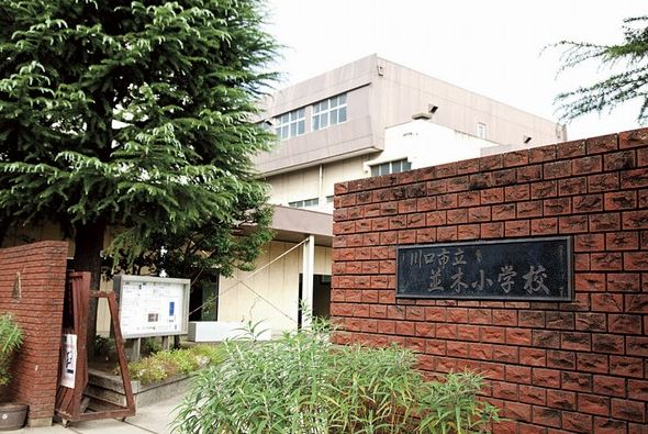 小学校　川口市立並木小学校（小学校）まで587m