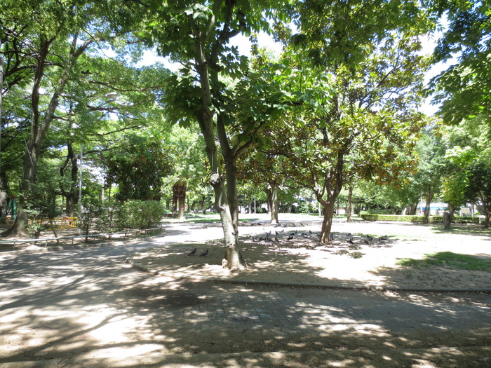 公園　ザビエル公園（公園）まで634m