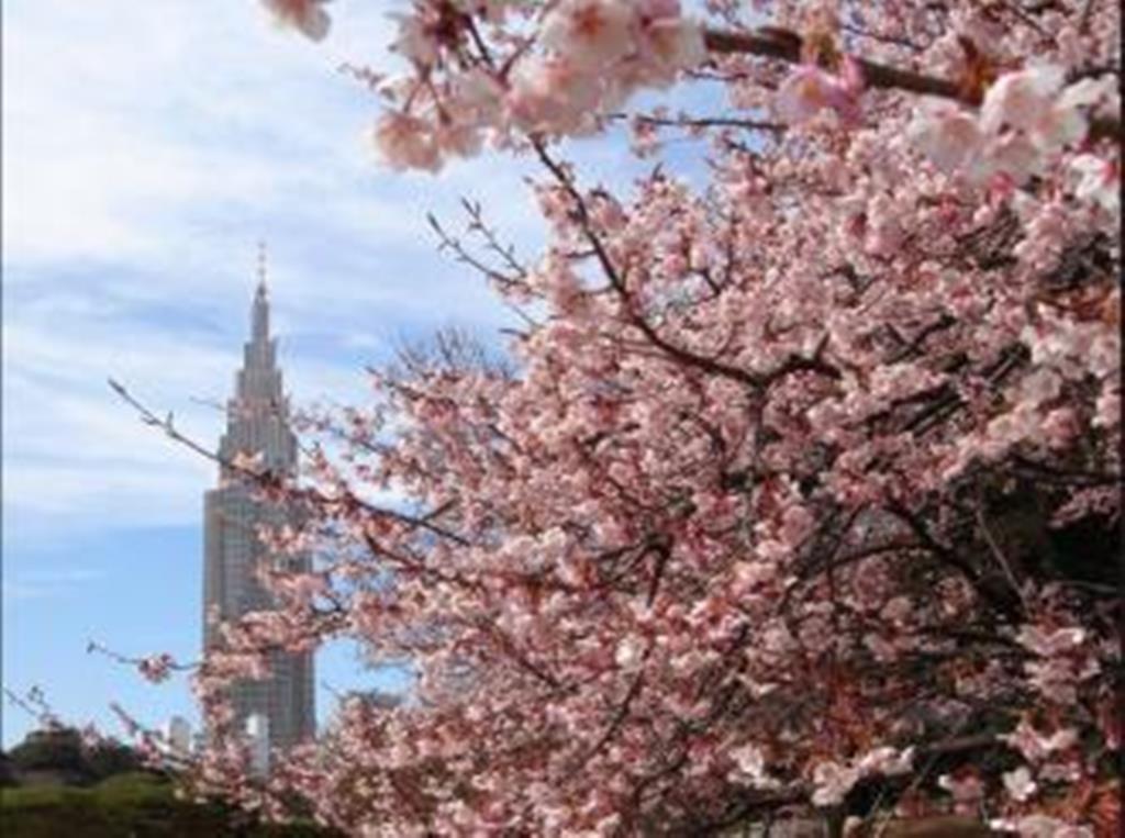 公園　新宿御苑（公園）まで1193m
