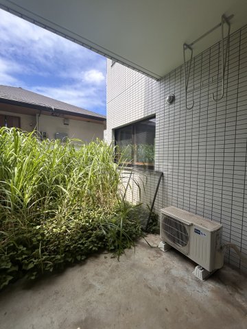 庭