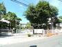 小学校　柏市立柏第一小学校（小学校）まで230m