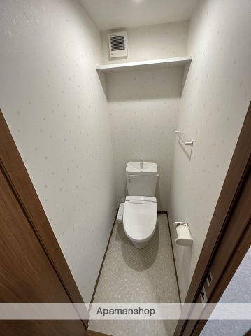 東武亀戸線 亀戸駅 徒歩8分 3階建 築6年のトイレ写真