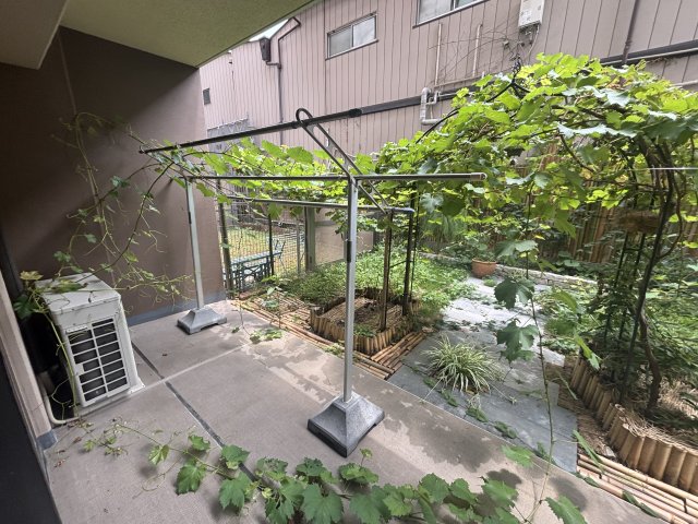 庭